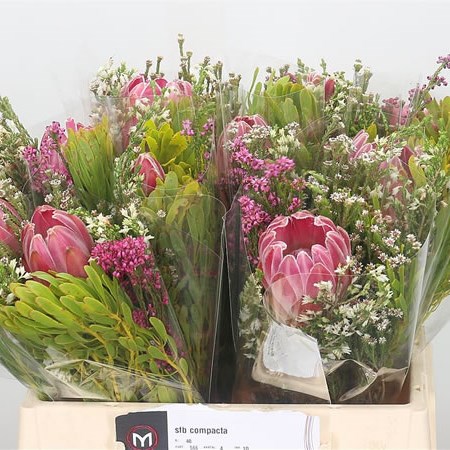 Protea Compacta Bouquets