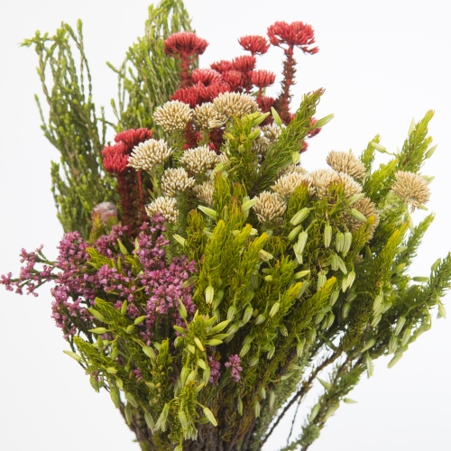 Protea Safari Bouquet