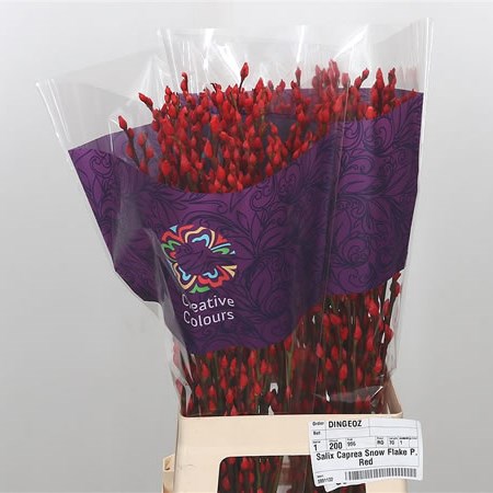 Pussy Willow Dyed Red