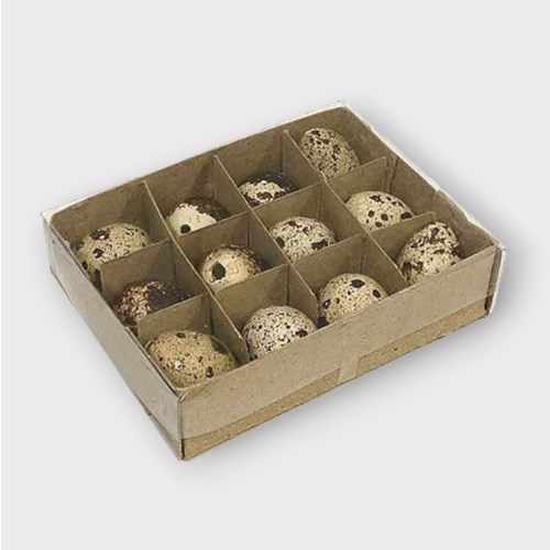 Quails Eggs Box of 12 Wholesale Dutch Flowers Direct & Florist