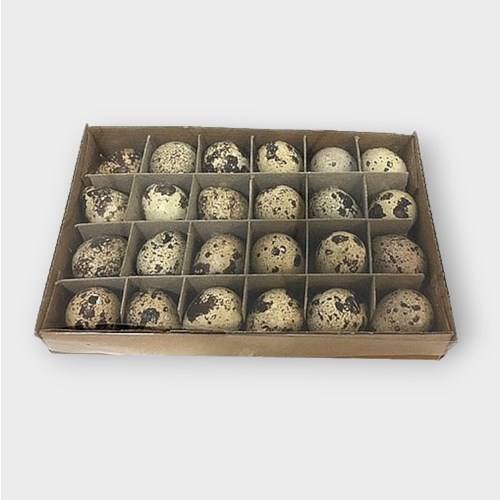Quails Eggs (24)
