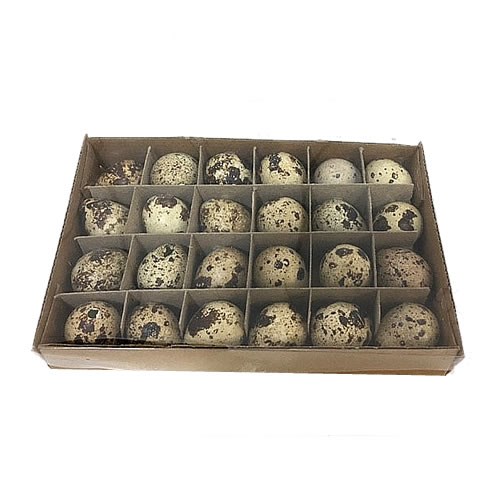Quails Eggs (24)