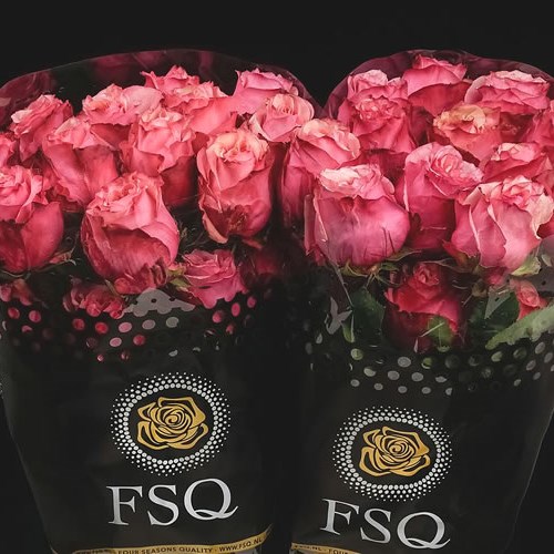 ROSE ART (ECUADOR LARGE HEADS)