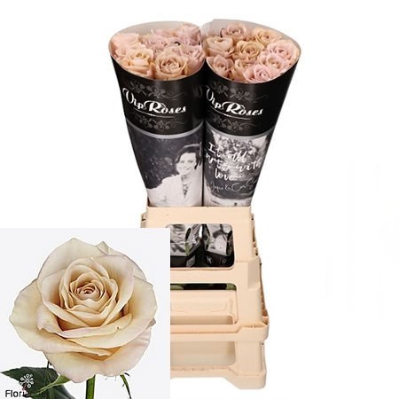 ROSE BRUT