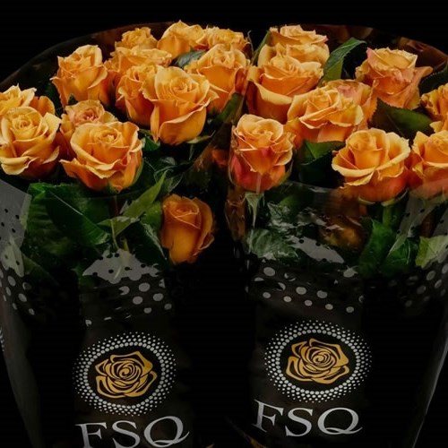 ROSE COMBO (ECUADOR LARGE HEADS)