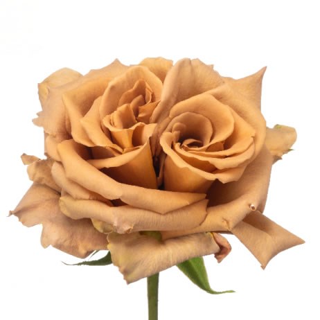 ROSE GARDEN TOFFEE