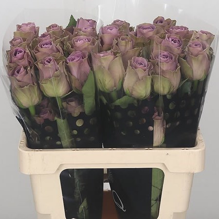 ROSE TIARA
