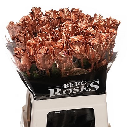 ROSE WAXED ATHENA COPPER
