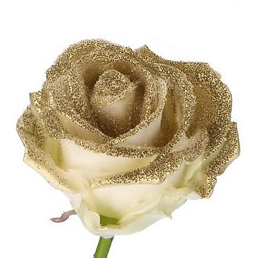 ROSE WAXED BLING GOLD