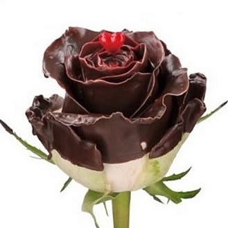 ROSE WAXED CHOCO VALENTINE