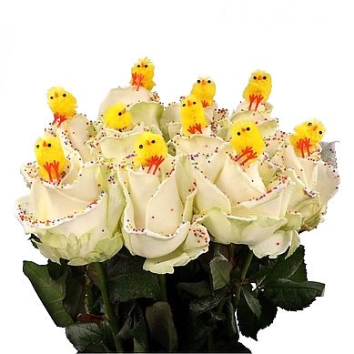 ROSE WAXED EASTER CHICKEN DISCOVERY