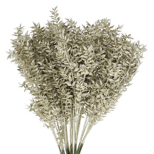 RUSCUS PLATINIUM GLITTER (DRIED) 65cm Wholesale Dried Flowers UK Preserved Flowers