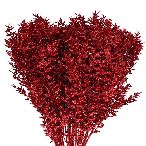 RUSCUS RED GLITTER (DRIED) 65cm Wholesale Dried Flowers UK