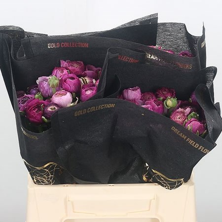 Ranunculus Elegance Purple Jean Super