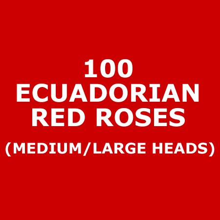 Roses Red (Ecuador)