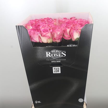 Rose Avalanche Candy