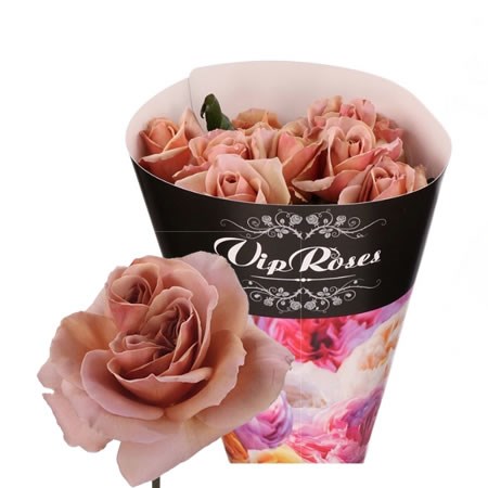 Rose Cafe Latte