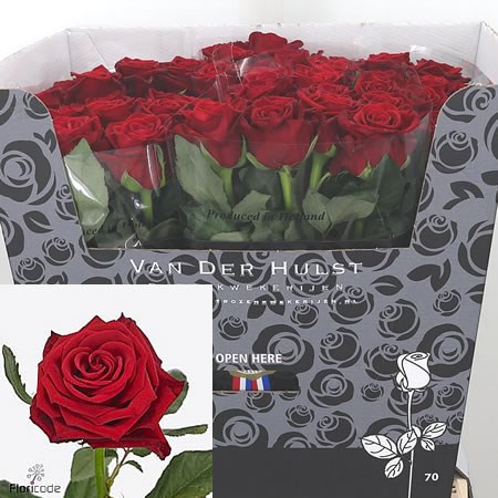 Rose Con Amore