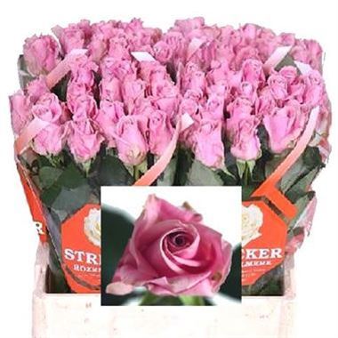 Rose Keano