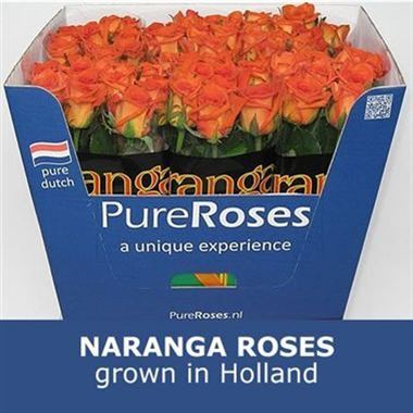 Rose Naranga