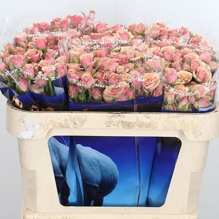 Rose Spray Antiqua