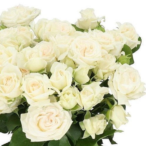 Rose Spray Bridal Flow (Small Heads)