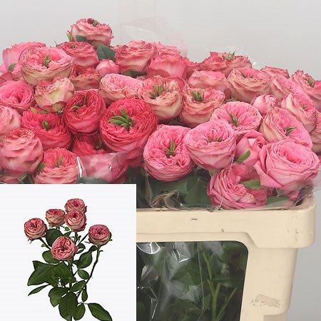 Rose Spray Turkish Delight