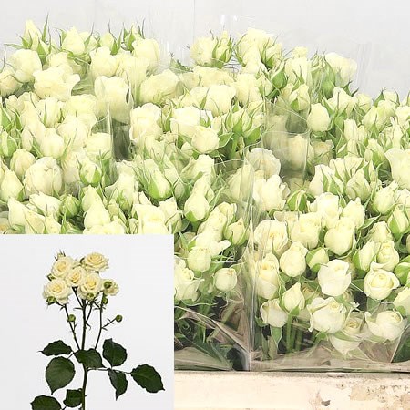 Rose Spray Vanilla Bouquet