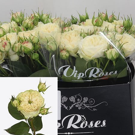 Rose Spray Victorian Wedding