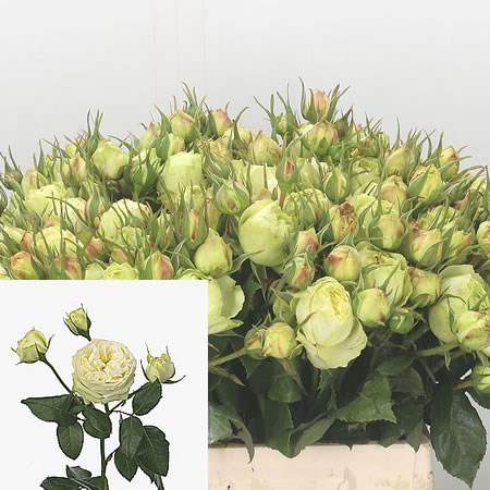 Rose Spray Wedding Piano