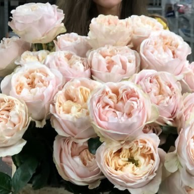 Rose Unforgettable