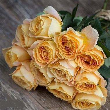 Rose Caramel Antike