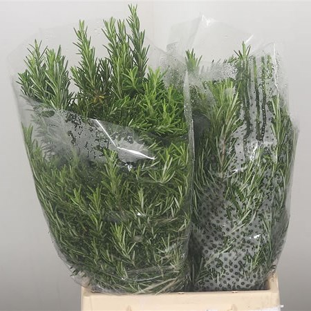 Rosemary (fresh)