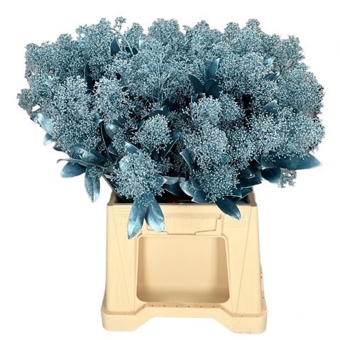 SKIMMIA DYED METALLIC LIGHT BLUE