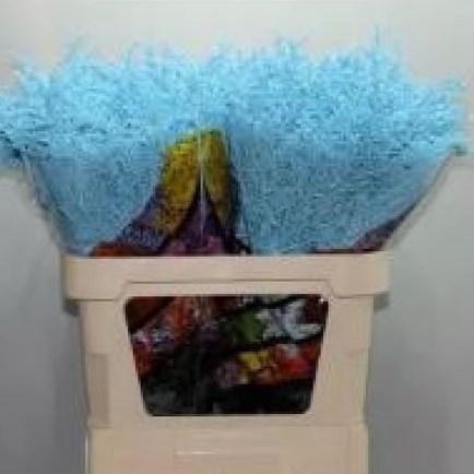 SOLIDAGO DYED LIGHT BLUE