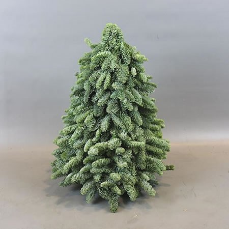 SPRUCE TREE SHAPE