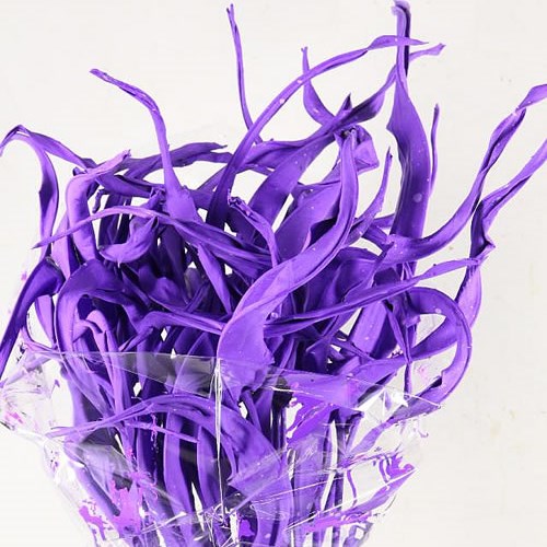 STRELITZIA LEAVES DYED DARK LAVENDER (DRIED)