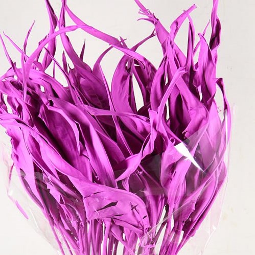 STRELITZIA LEAVES DYED FUCHSIA (DRIED)