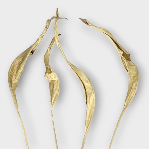STRELITZIA LEAVES DYED GOLD (DRIED) 80cm | Wholesale Dried Flowers UK ...