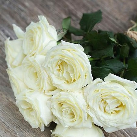 Rose Garden vitality (scented)
