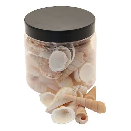 Sea Shells Natural Mix