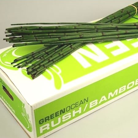 Snake Grass (Bamboo)