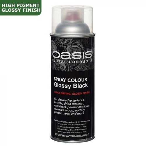 Spray Paint Oasis Glossy Black Wholesale Dutch Flowers & Florist