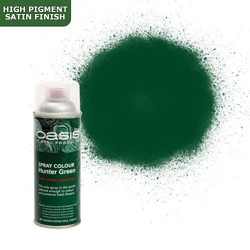 Spray Paint Oasis Hunter Green Wholesale Dutch Flowers & Florist