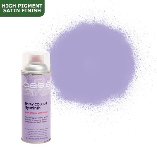 Spray Paint Oasis Hyacinth Wholesale Dutch Flowers & Florist Supplies UK