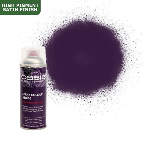 Spray Paint (Oasis) - Violet (Satin Finish)