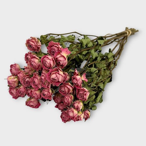 Spray Roses Pink (Dried 10 stem bunch)