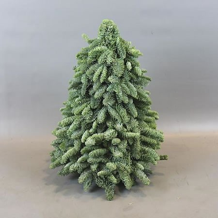 Spruce Tree 60cm