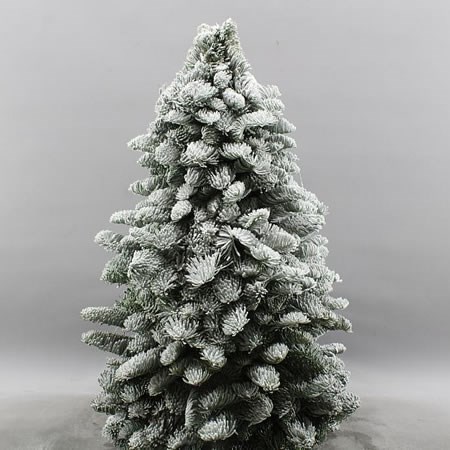 Spruce Tree + Snow 60cm