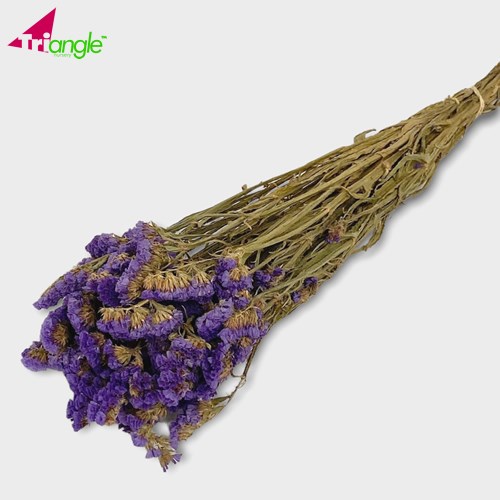 Statice Blue Dried 50cm English Dried Flowers British Flowers UK